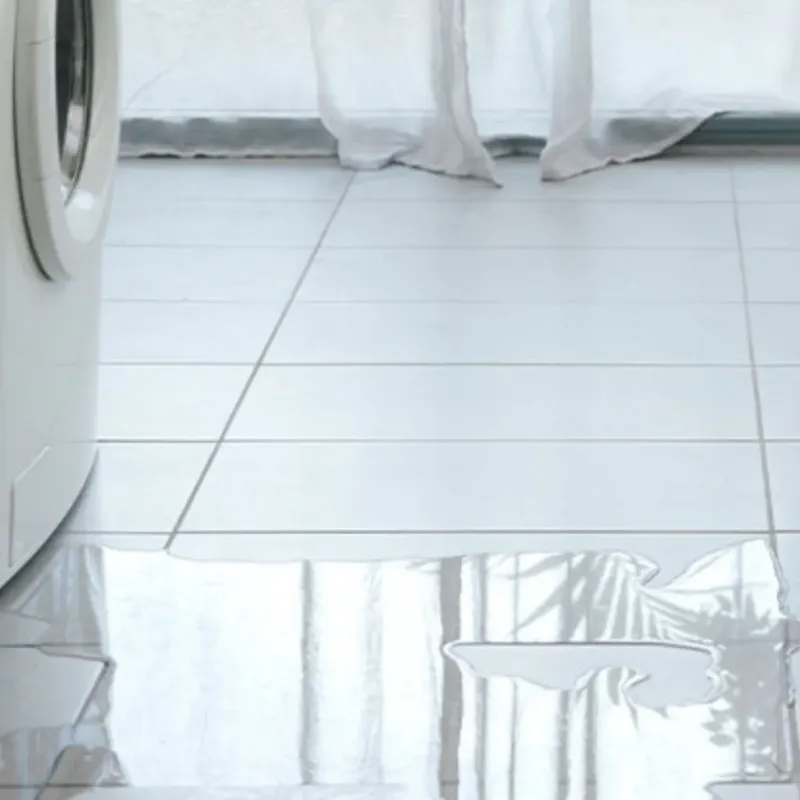 Appliance Leak Cleanup in Tanglewilde-Thompson Place, WA