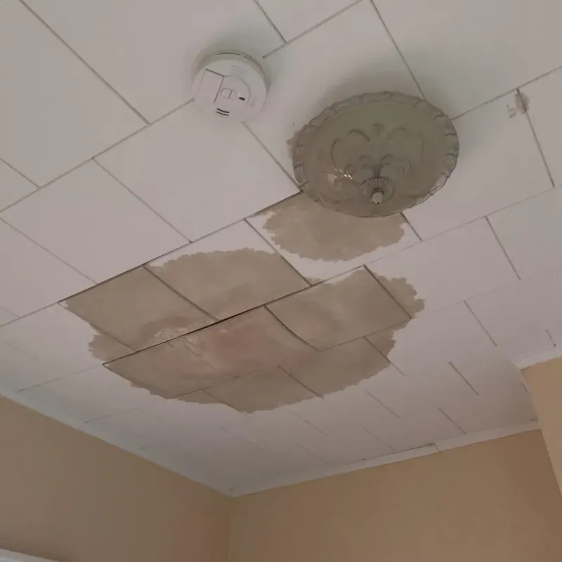 Ceiling Water Damage Repair in Tanglewilde-Thompson Place, WA
