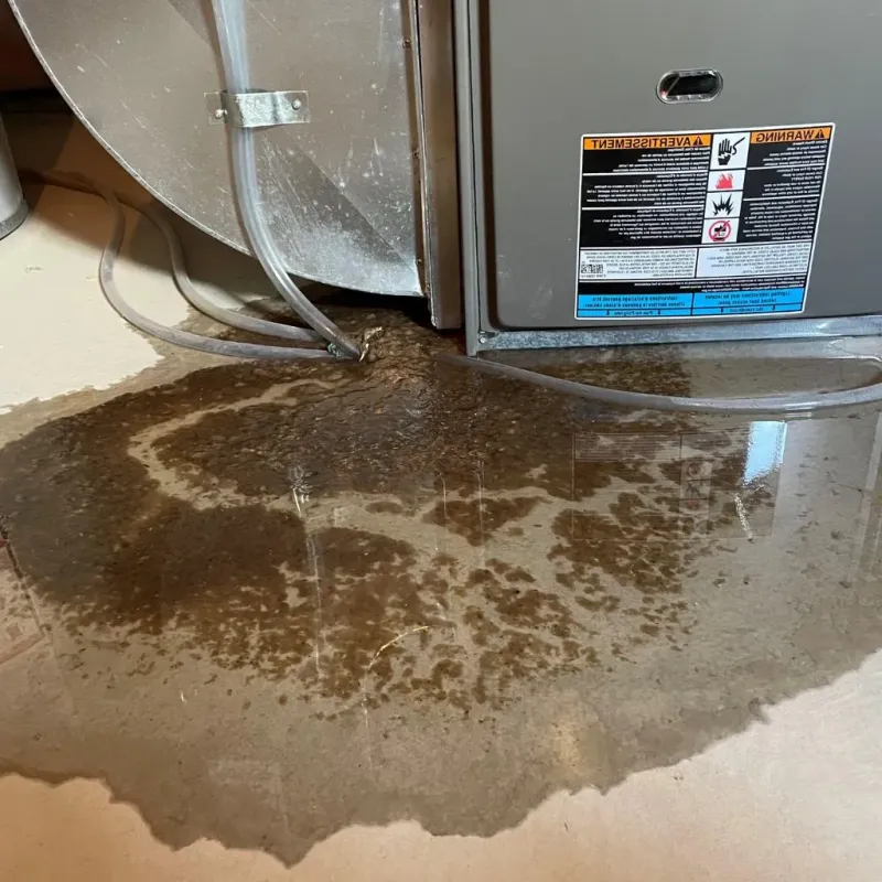 Pipe Burst and Leak Restoration in Tanglewilde-Thompson Place, WA