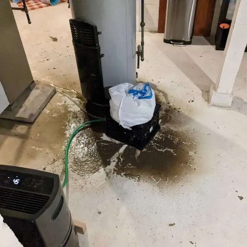 Sewage Backup Cleanup Service in Tanglewilde-Thompson Place, WA